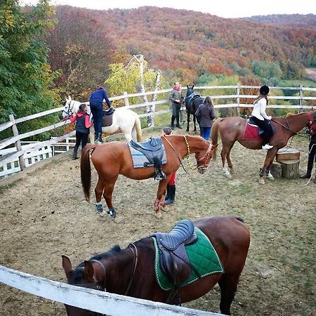 Country House Na Malenom Brijegu Bjelovar Zewnętrze zdjęcie