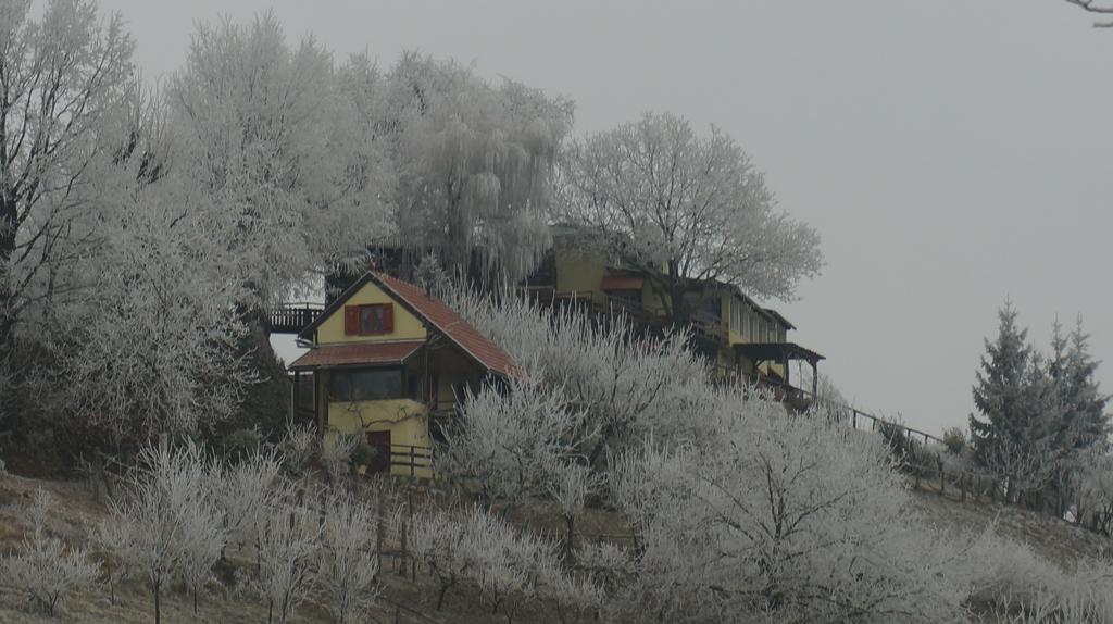 Country House Na Malenom Brijegu Bjelovar Zewnętrze zdjęcie